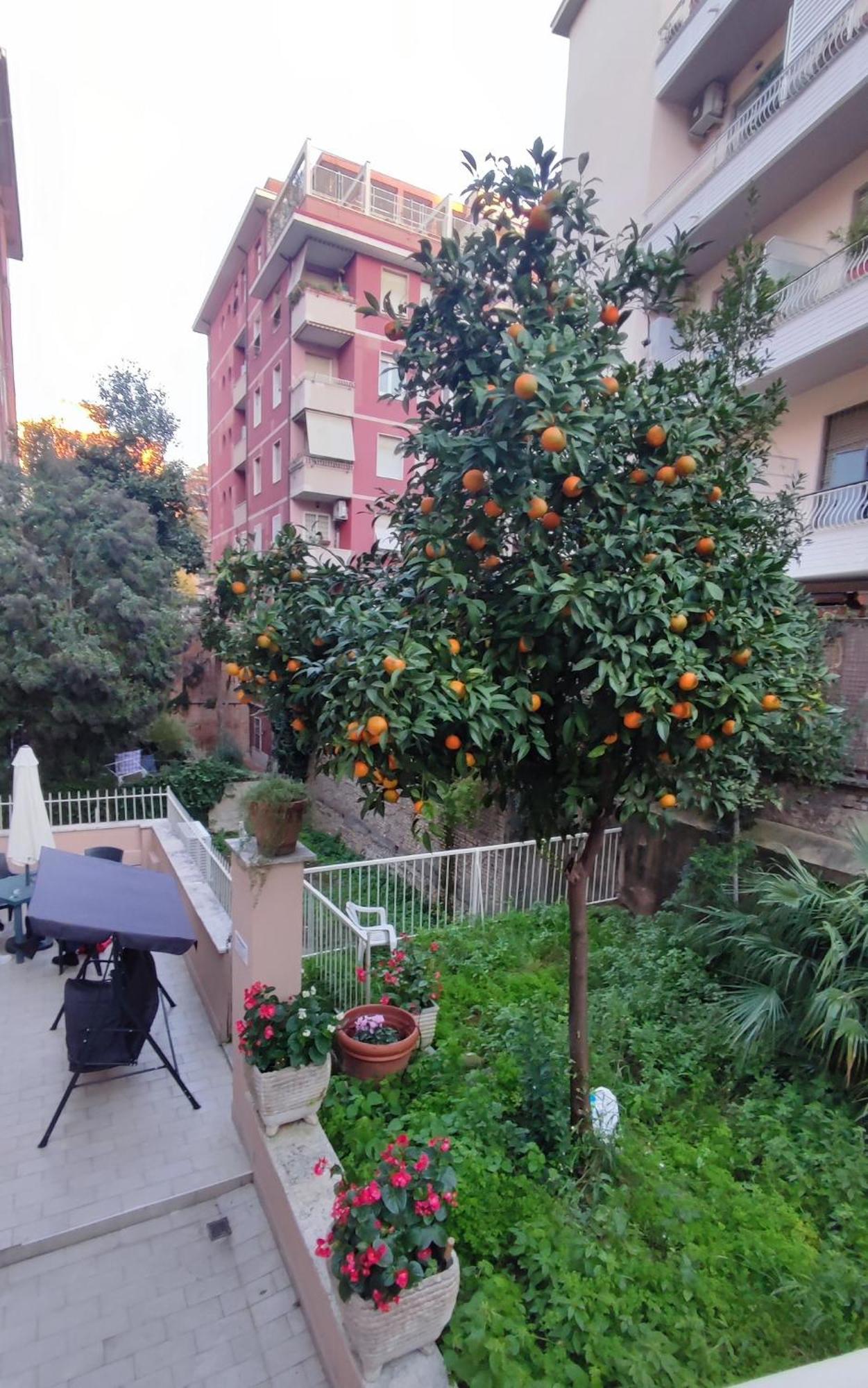 Vatican Green Garden Рим Экстерьер фото