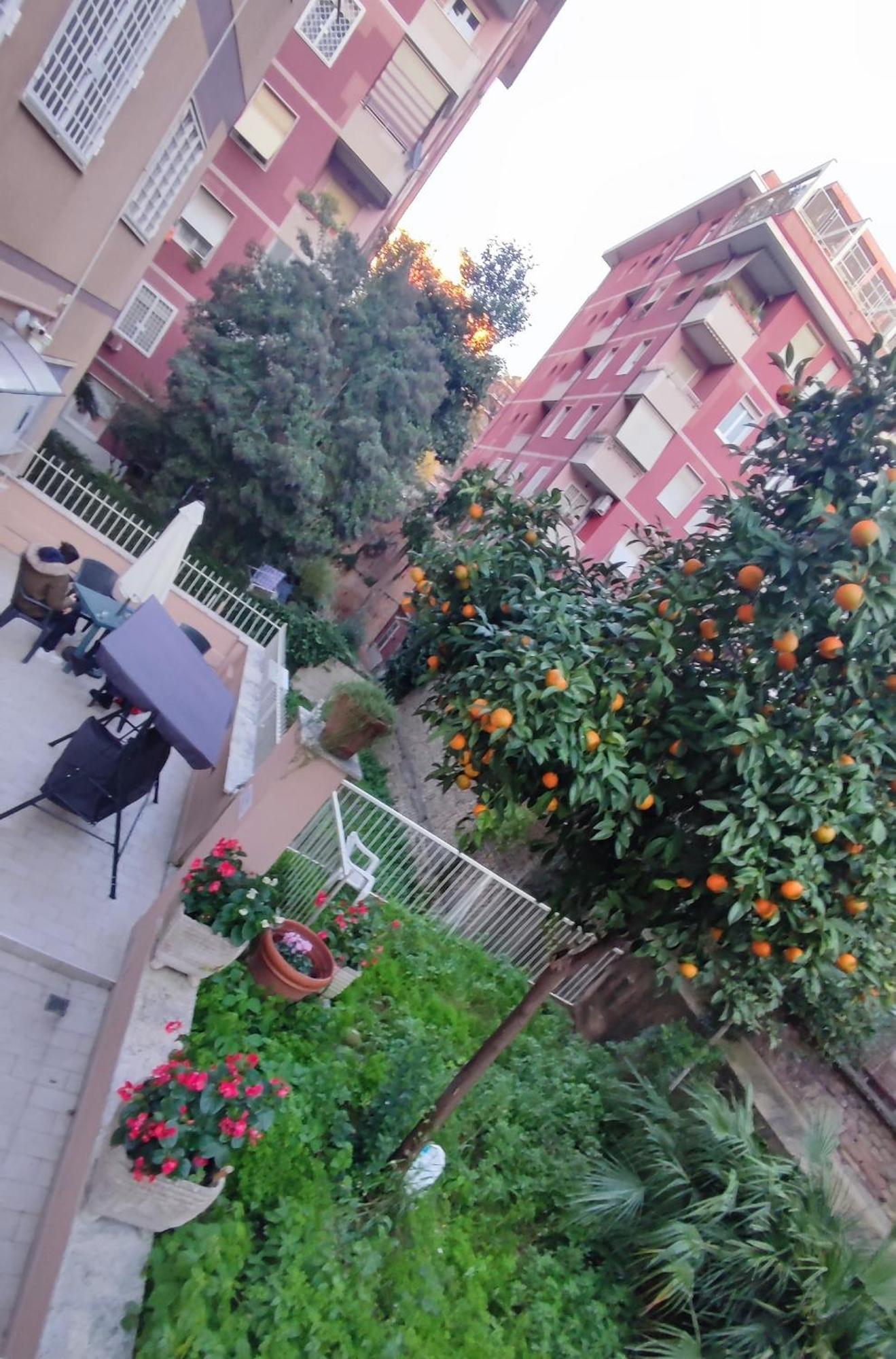 Vatican Green Garden Рим Экстерьер фото
